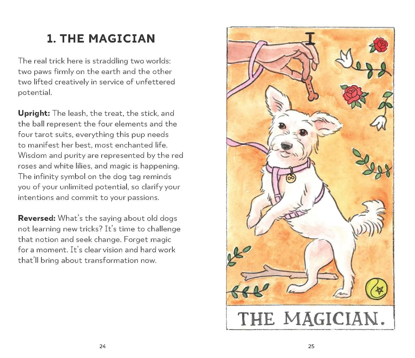 Dog Tarot – White Pine London - Main Image