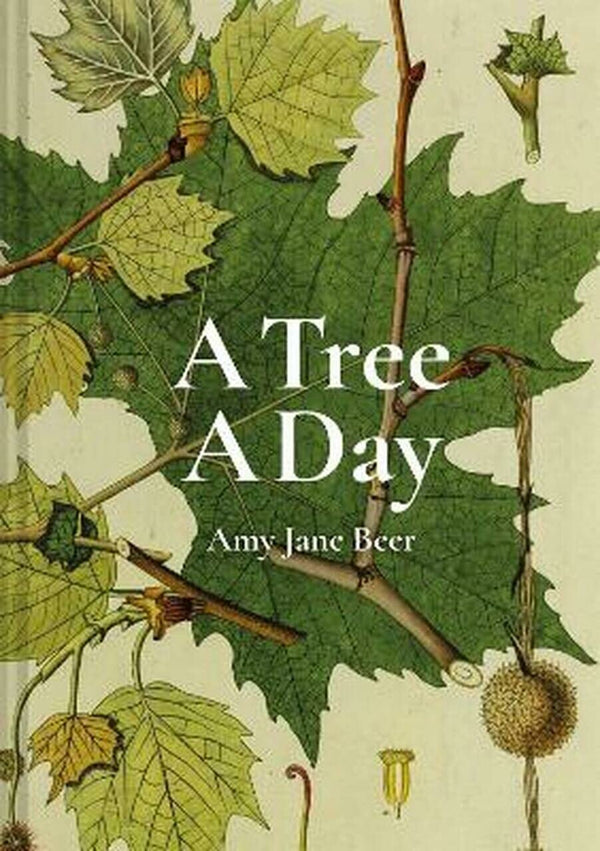 A Tree A Day