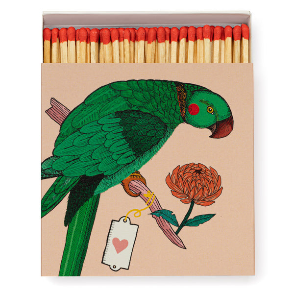 Archivist | Matches in Box, Parrot