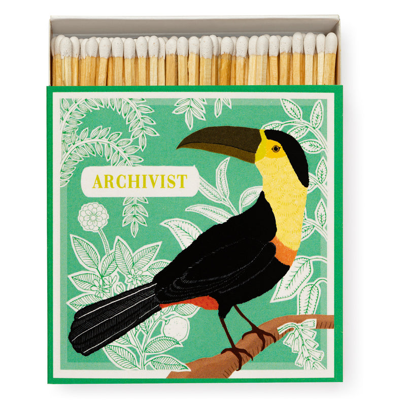 Archivist | Matches in Box, Toucan