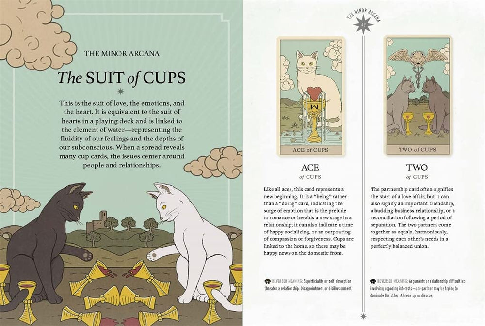 Cats Rule The Earth Tarotkarten – 78 Karten Auf Englisch, Für Anfänger & Partys, Mystisches Geschenk Mit Katzendesign