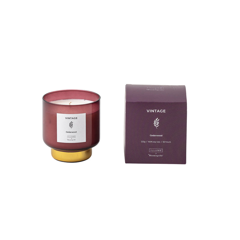 Scented Candle VINTAGE Cedarwood, Soy Wax