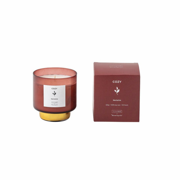 Scented Candle COZY Nectarine, Soy Wax